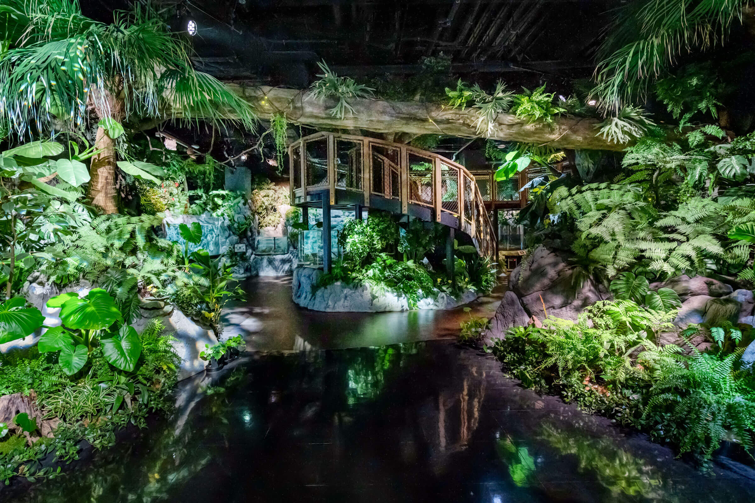 沖縄 DMMかりゆし水族館 入場Eチケット 予約