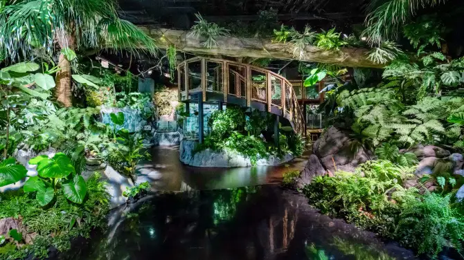 3_DMM Kariyushi水族館