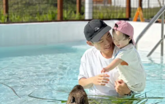 墾丁鹿ㄦ島水豚生態園區