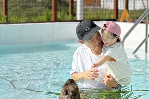 켄팅 루유 섬 카피바라 생태 공원