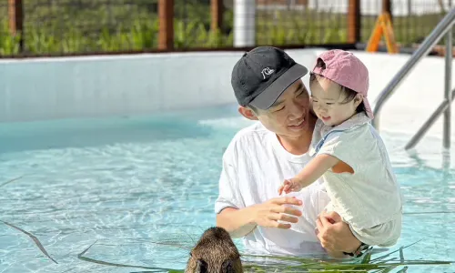켄팅 루유 섬 카피바라 생태 공원