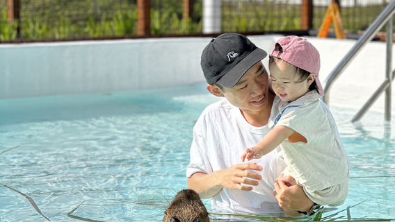 Paradise of capybara