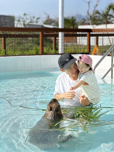 Paradise of capybara