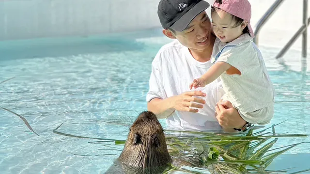 墾丁鹿ㄦ島水豚生態園區