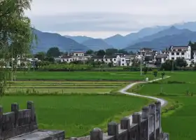 南屏景區