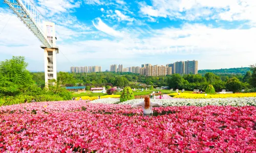 Manhua Sea of Flowers