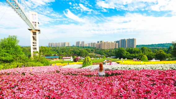 Manhua Sea of Flowers