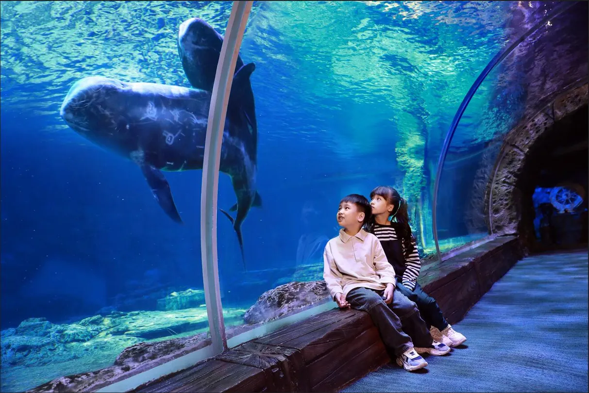 5_Zhengzhou Aquarium