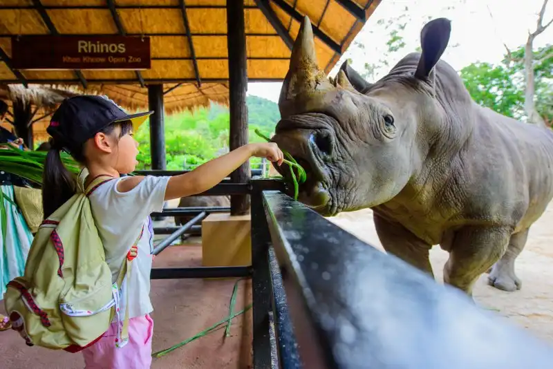 5_Khao Kheow Open Zoo