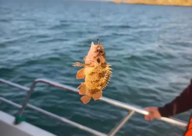 Sea-fishing in Weihai
