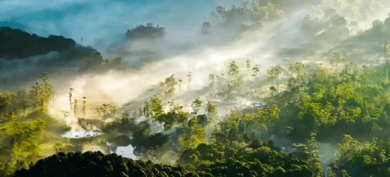 Hotel berhampiran Pemandian Air Panas Ciwalini
