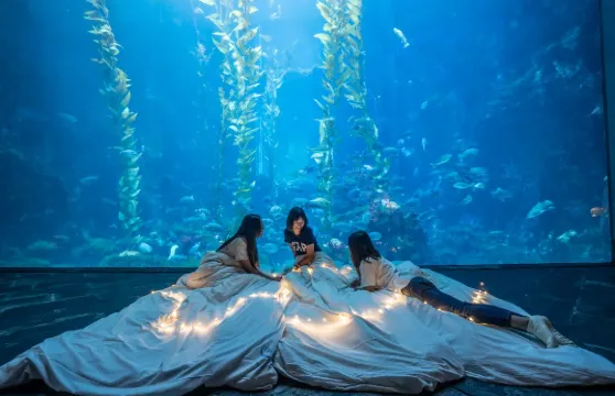 台灣海洋生物博物館門票成人