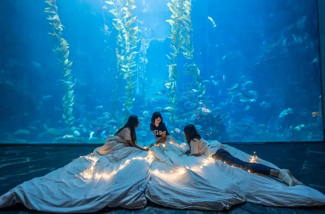 Hotels near National Museum of Marine Biology & Aquarium