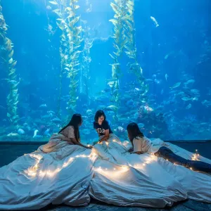 台灣海洋生物博物館