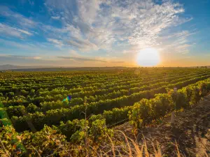 Rongzi Winery