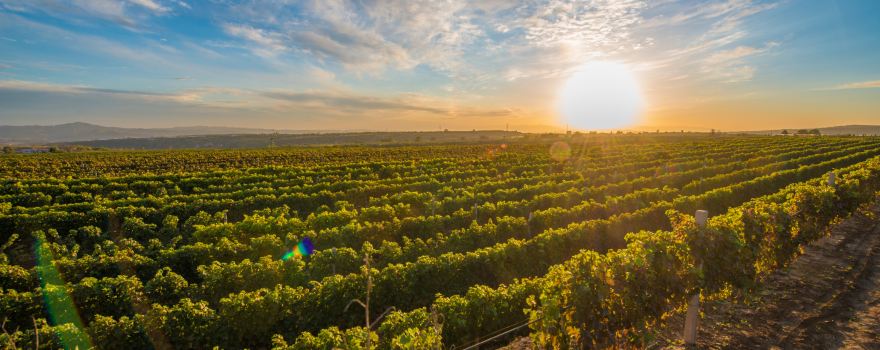 Rongzi Winery