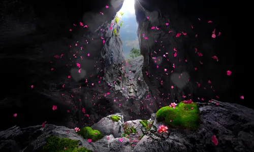 Rainforest Wild ASIA