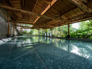 Huaning Elephant Trunk Hot Spring Resort