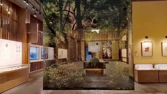 JinghongTours