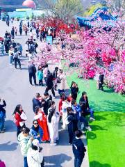 Yuntai Mountain Geopark