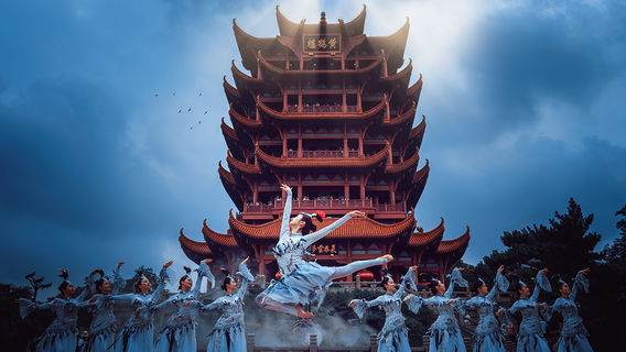 Tour de la Grue jaune