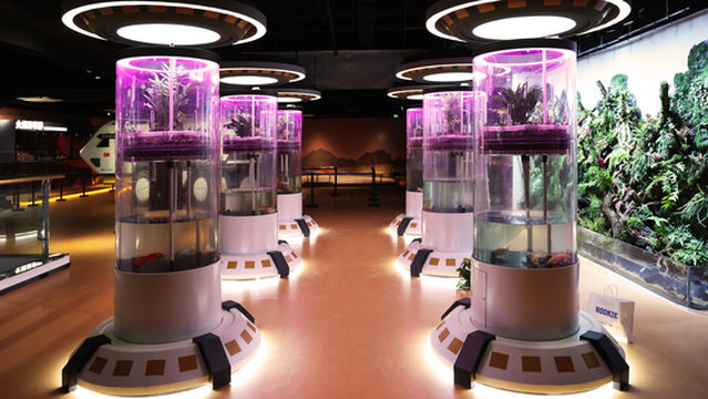 zhu meng xing chen ( chang chun ) hang tian ke jiao wen lv guan