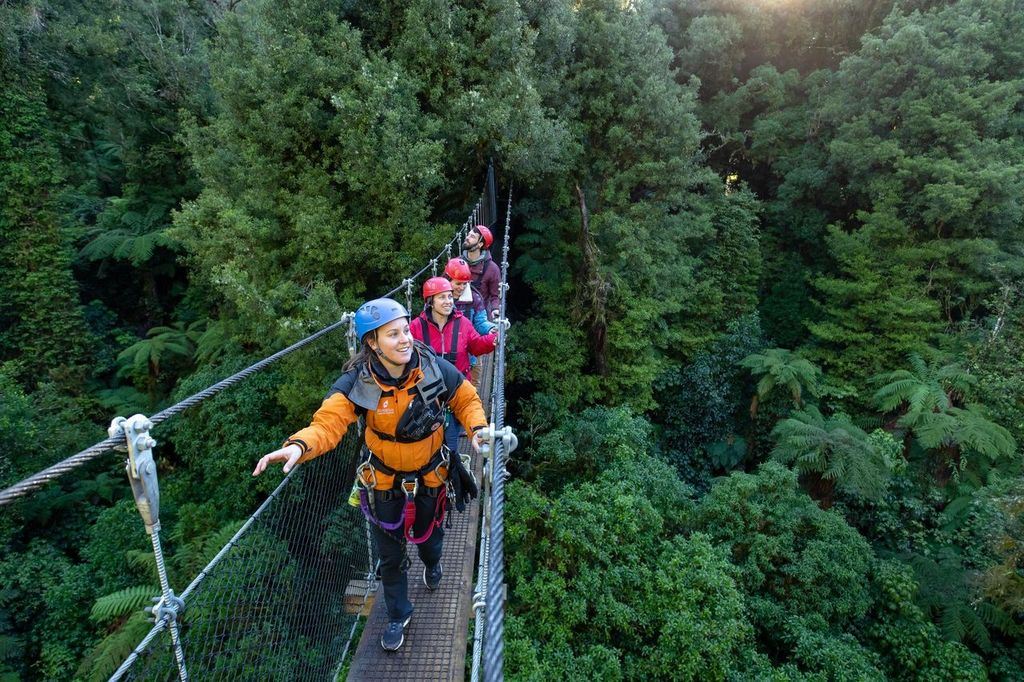 Rotorua Canopy Tours | Zipline Experience