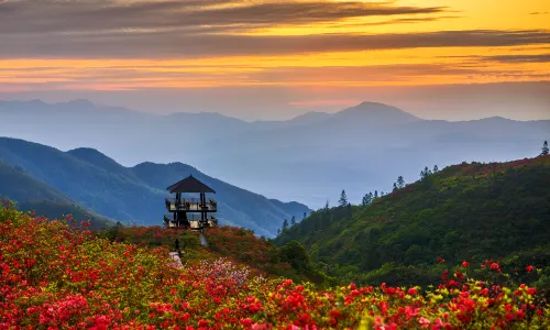 Daweishan National Forest Park