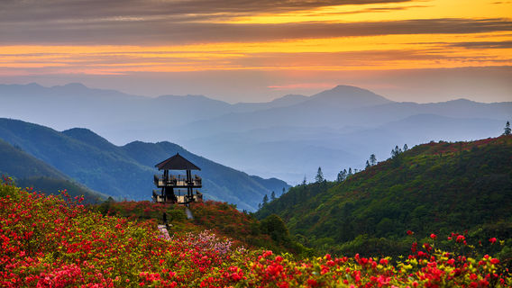 Daweishan National Forest Park