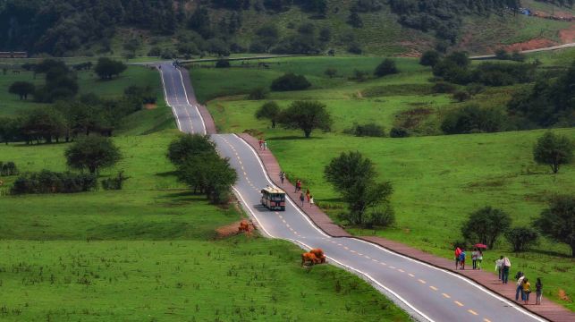 重慶私人導覽一日游【武隆天生三橋+仙女山國家森林公園】