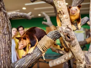 Zoo di Singapore