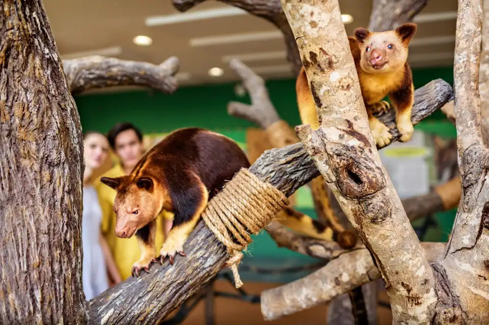 4_新加坡動物園