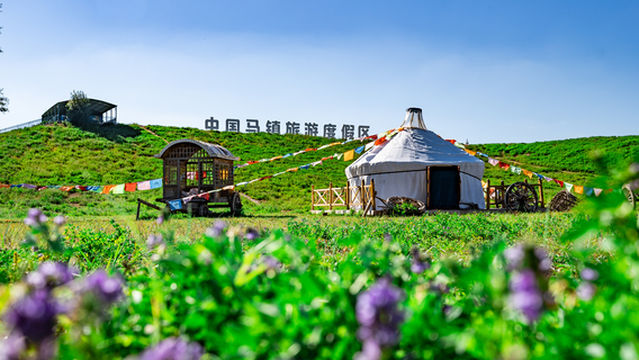 Fengning Bashang Grassland