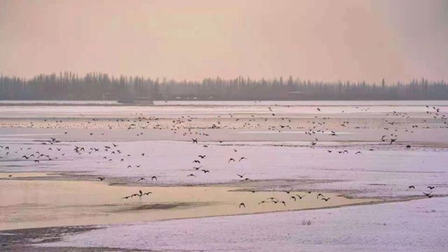 Yarkant National Wetland Park in Shache County