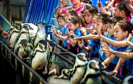 สวนสัตว์เปิดเขาเขียว