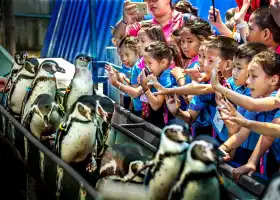 สวนสัตว์เปิดเขาเขียว