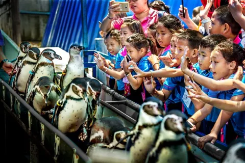 Zoo di Chonburi