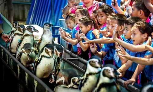 Khao Kheow Open Zoo