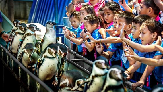 Khao Kheow Open Zoo