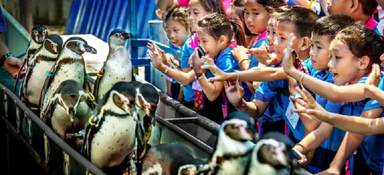 โรงแรมในสุรศักดิ์