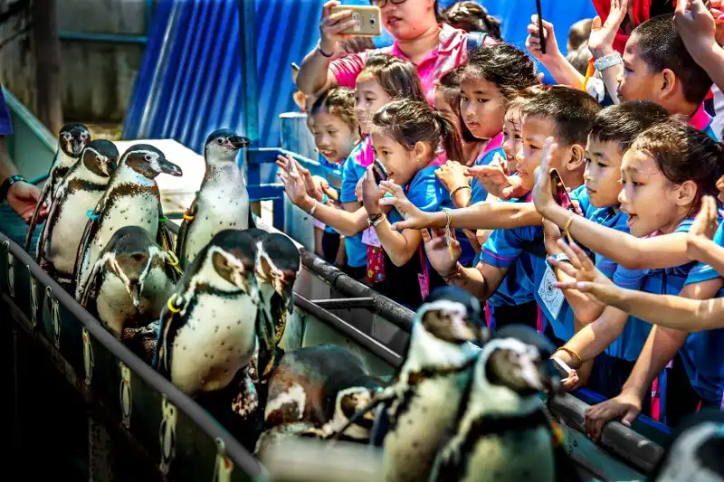 1_Khao Kheow Open Zoo