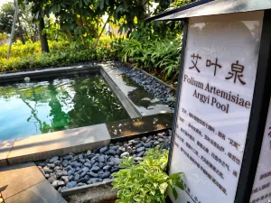 Baodun Lake Hushan Hot Spring Resort