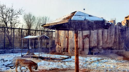 Huanghe Sanjiaozhou Zoo