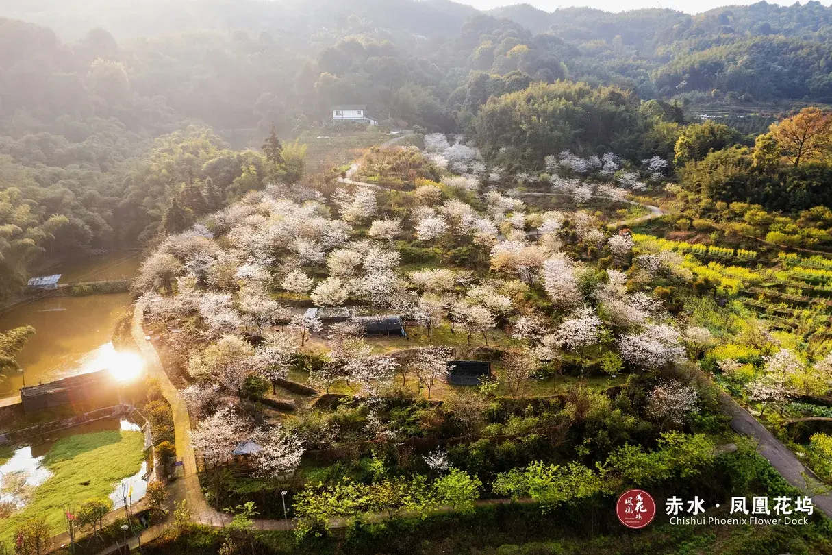 4_赤水凤凰花坞