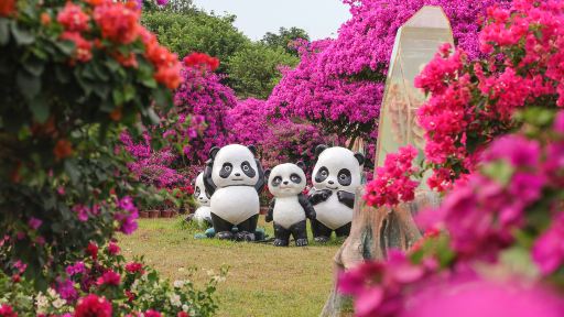 千花洲旅遊度假區門票（全日票）所有旅客