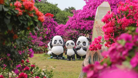 Millefiore Resort Huizhou