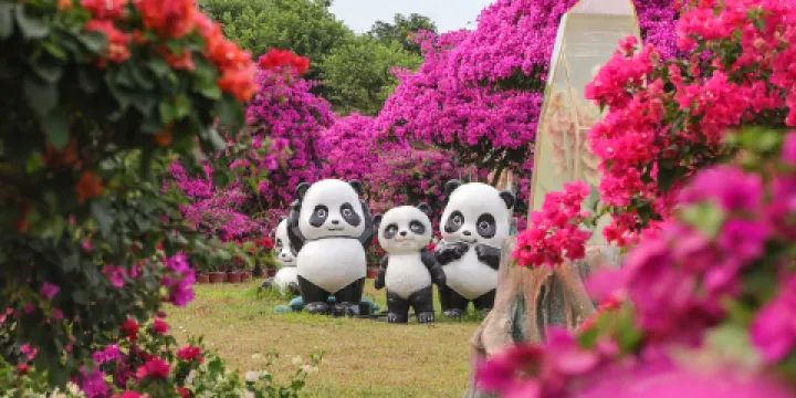 千花洲旅遊度假區