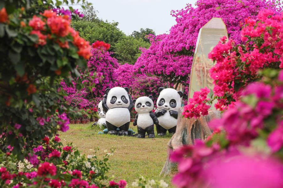 千花洲旅遊度假區