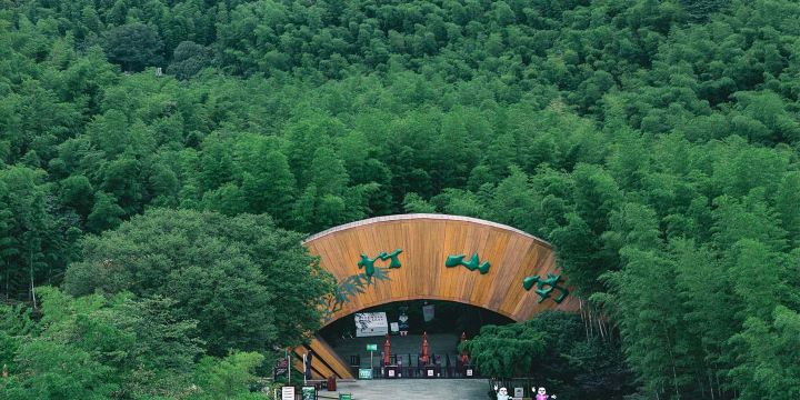 Tianmu Lake Nanshan Bamboo Sea Scenic Spot