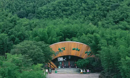 Tianmu Lake Nanshan Bamboo Sea Scenic Spot